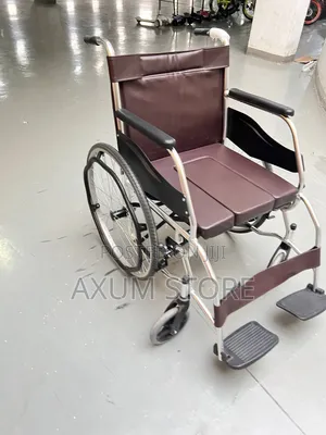 ለዕለታዊ አጠቃቀም የሚሆን ዊልቸር — Daily Use Wheelchair