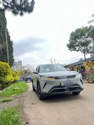 BYD Yuan Up 2025 Beige