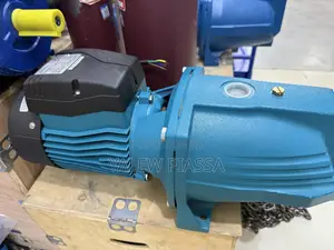 Leo AJm150 Jet Water Pump With a 2 HP (1.5 kW) Motor.
