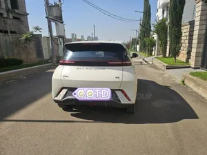 BYD Seagull 2024 Maroon