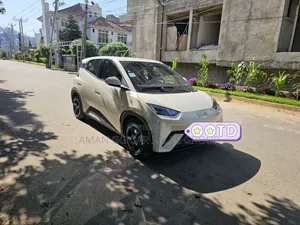 BYD Seagull 2024 Maroon