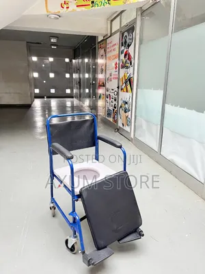 15. Comfortable Padded Wheelchair ምቹ ፓድድ መቀመጫ ያለው ዊልቸር