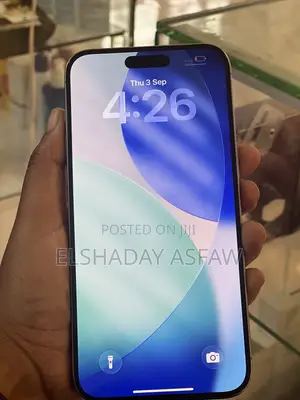 Apple iPhone 15 Pro Max 256 GB