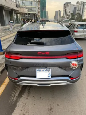 BYD Song Plus 2024 Gray