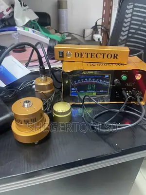 Digital Water Leak Detector
