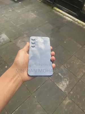 Samsung Galaxy A55 256 GB Gray