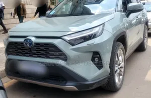 Toyota RAV4 2022 Gray