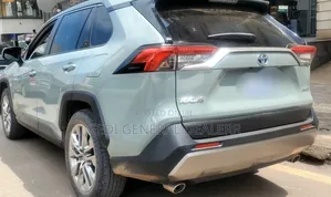 Toyota RAV4 2022 Gray