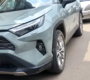 Toyota RAV4 2022 Gray