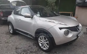 Nissan Juke 2014 Silver