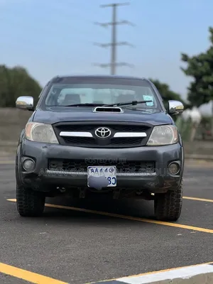 Toyota Hilux 2010 Gray