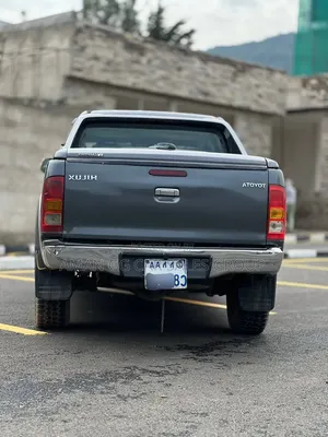 Toyota Hilux 2010 Gray