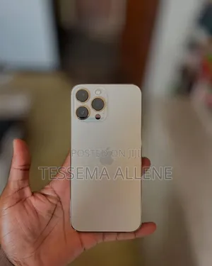 Apple iPhone 13 Pro Max 256 GB