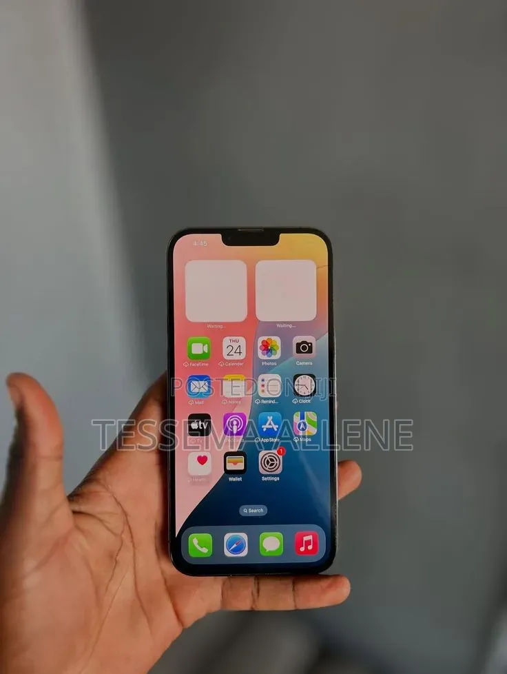Apple iPhone 13 Pro Max 256 GB