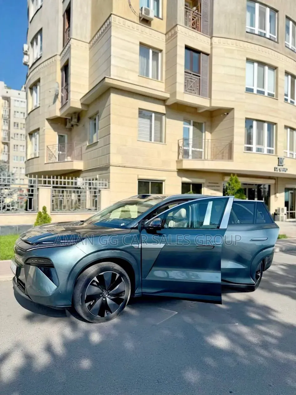 New BYD Tang EV 2025 Gray
