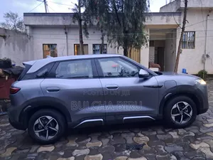 BYD Yuan Up 2024 Gray