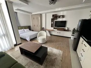 Furnished 1bdrm Apartment in Bole for rent