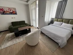 Furnished 1bdrm Apartment in Bole for rent