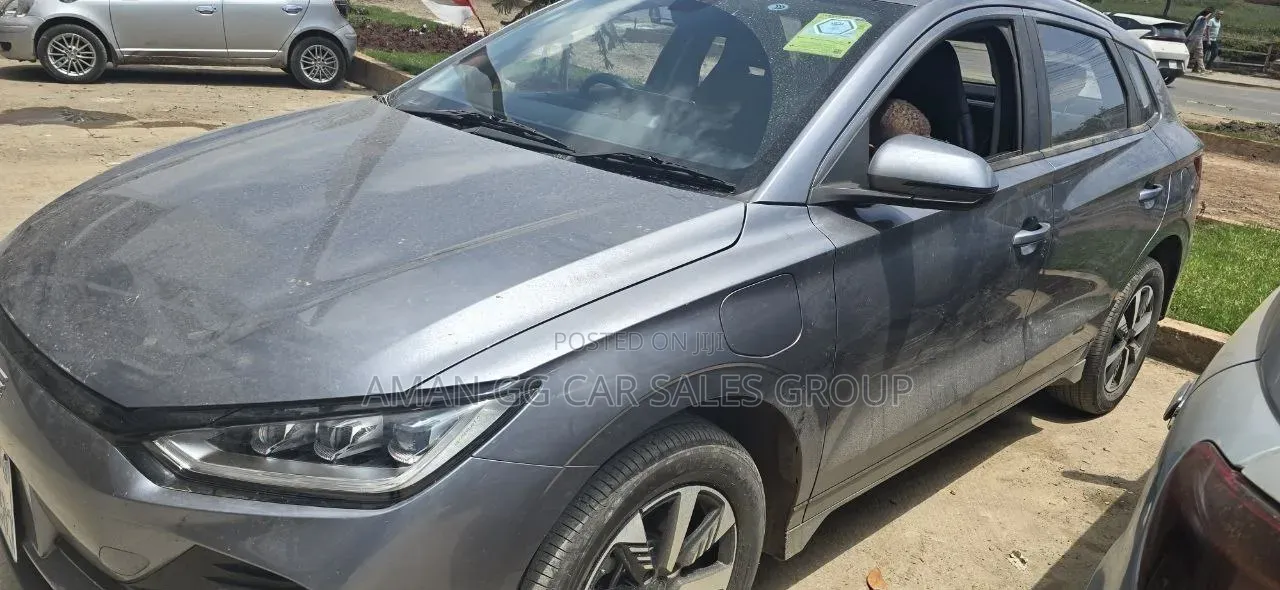 BYD E2 43 kWh 94 hp FWD 2025 Gray
