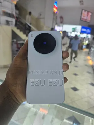 New Vivo X300 256 GB
