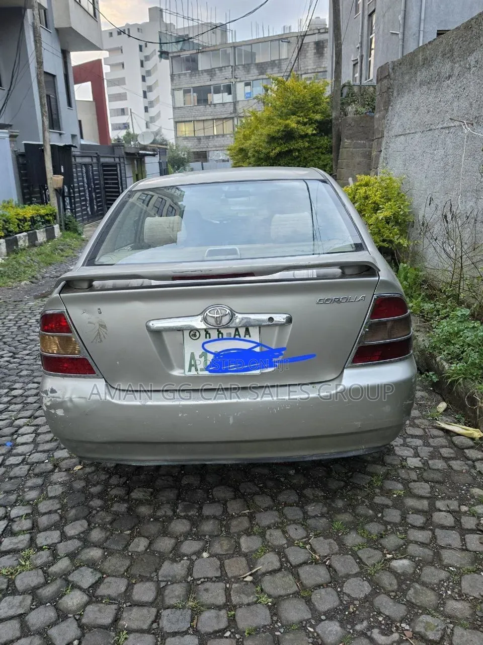 Toyota Corolla 2003 Gray
