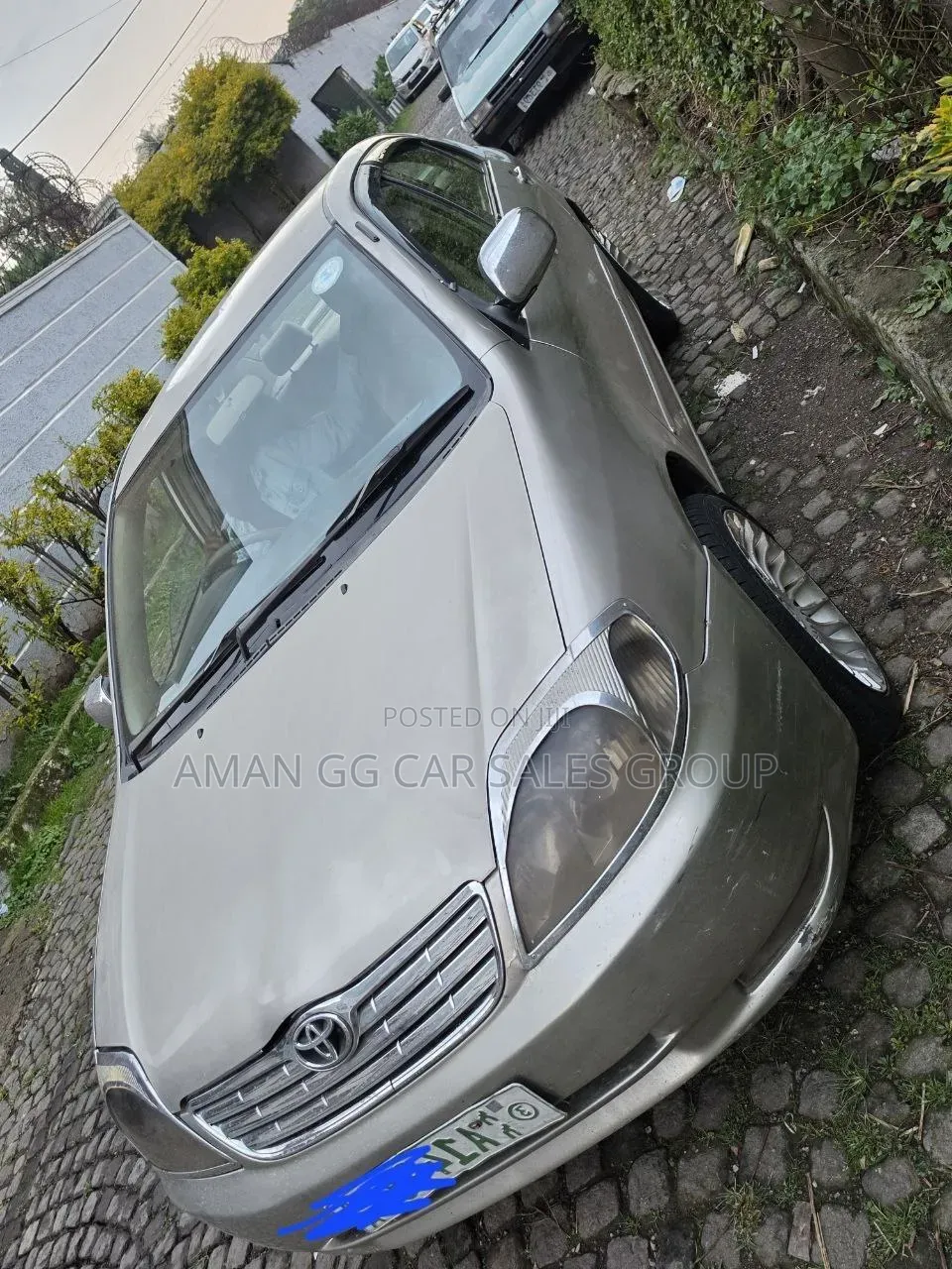 Toyota Corolla 2003 Gray