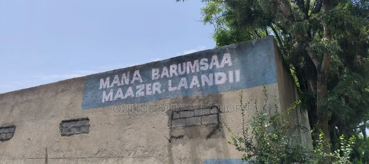 Furnished 12bdrm House in Bishoftu Dukam, Oromia-Finfinne for sale