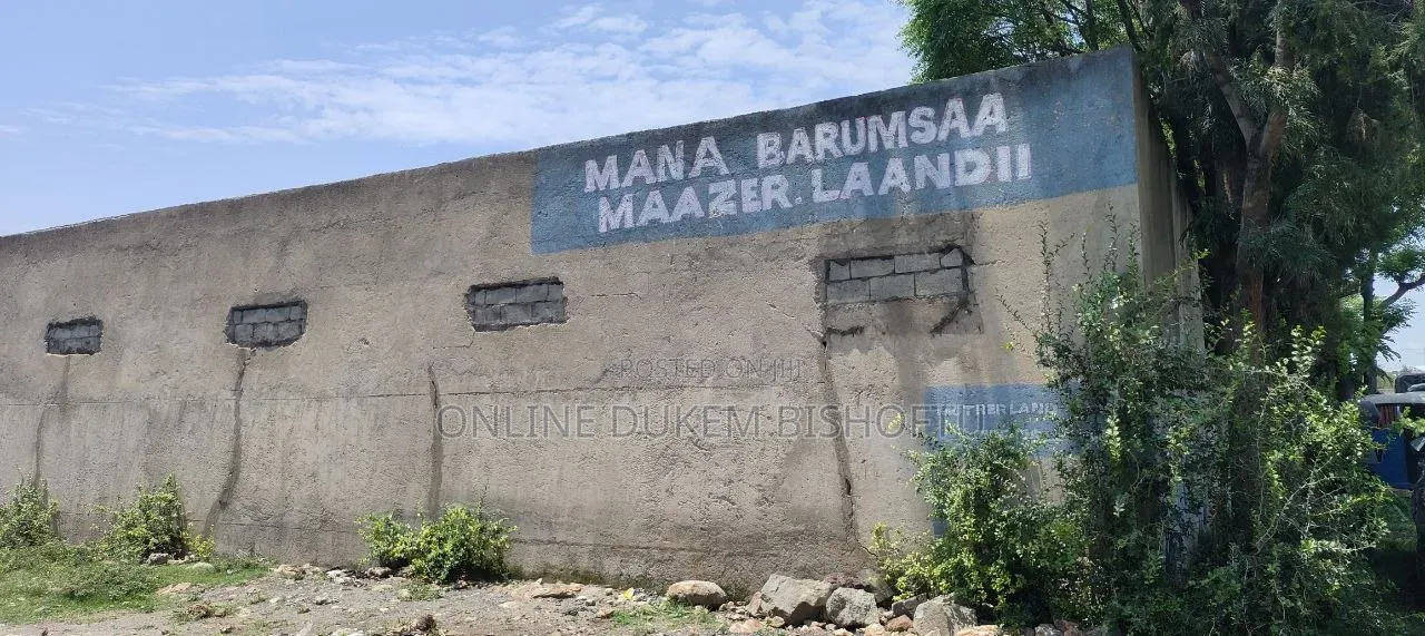 Furnished 12bdrm House in Bishoftu Dukam, Oromia-Finfinne for sale