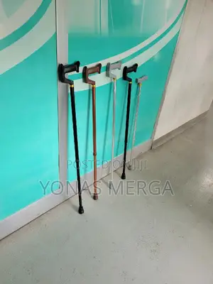 Walking stick觀啓Supplied as a Pair for Immediate use臣古It's the Cane