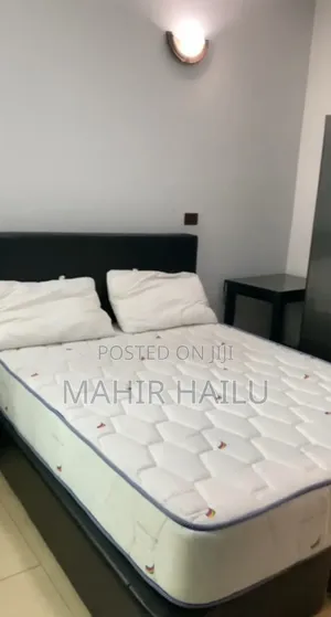 Furnished 1bdrm Apartment in Real, Bole for rent