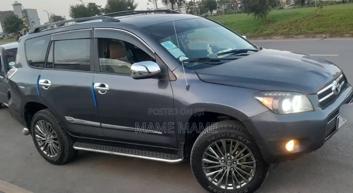 Toyota RAV4 2008 Gray