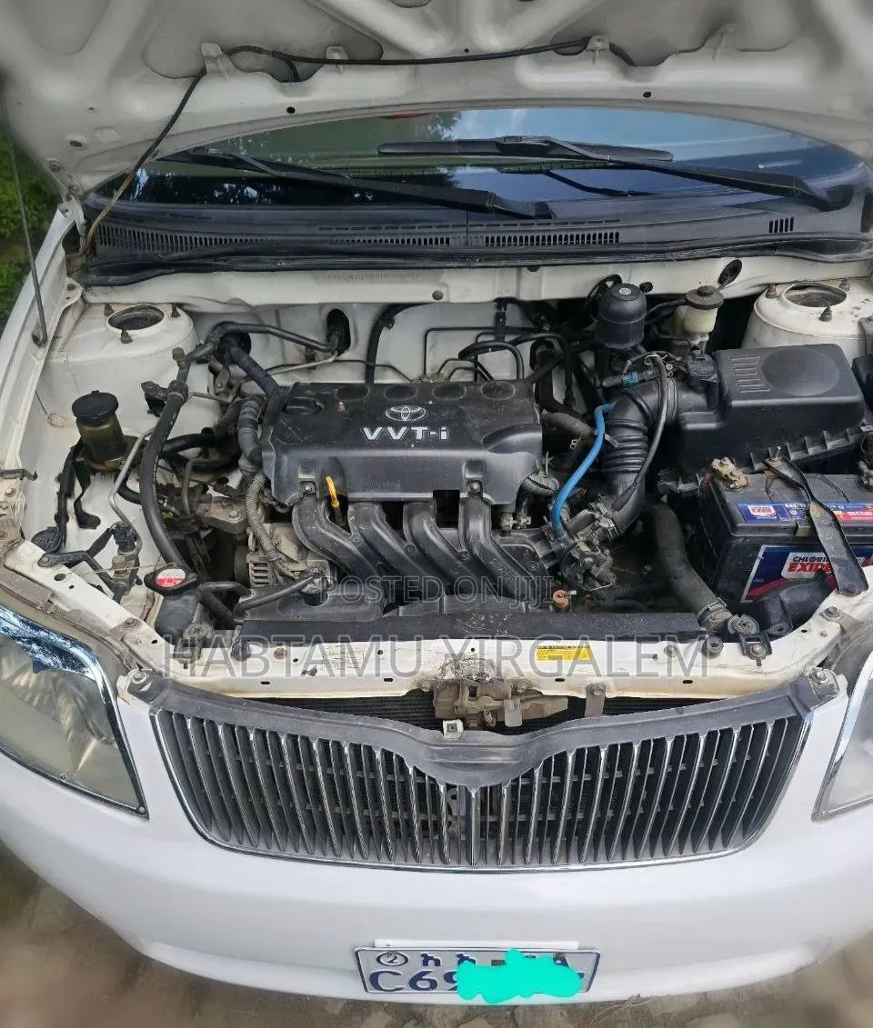 Toyota Corolla 2005 White