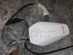 Byd Electric Charge