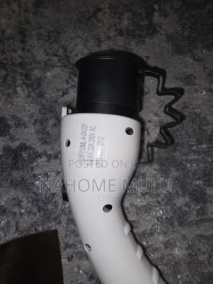 Byd Electric Charge