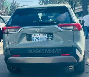Toyota RAV4 2021 Gray