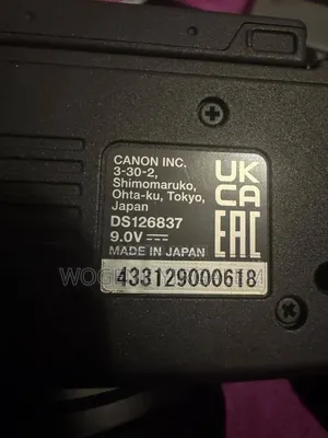Canon R5 Mirror Less