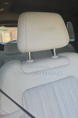 BYD Leopard 7 2025 Gray