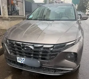 Hyundai Tucson 2022 Brown