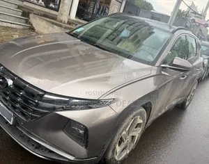 Hyundai Tucson 2022 Brown