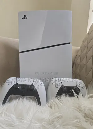 Ps 5 Selim Disk