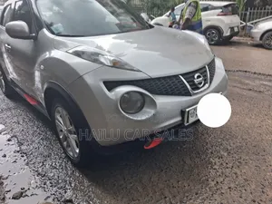 Nissan Juke 2014 Silver
