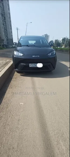 BYD Seagull 2024 Black