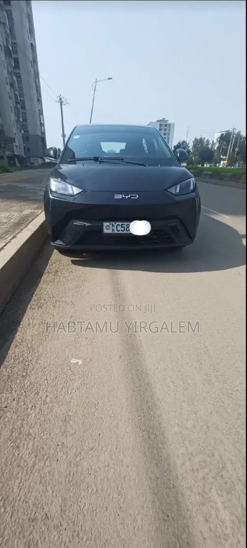 BYD Seagull 2024 Black