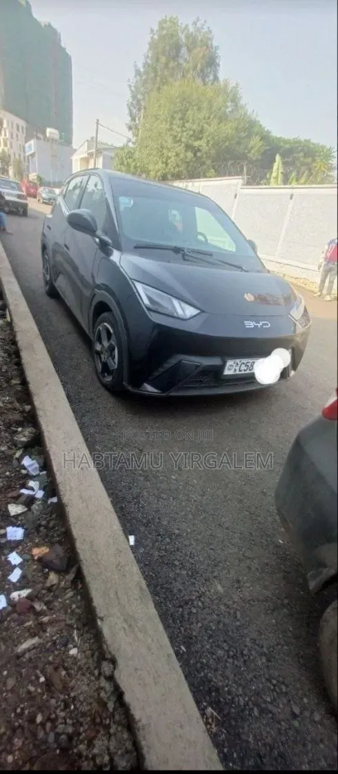 BYD Seagull 2024 Black