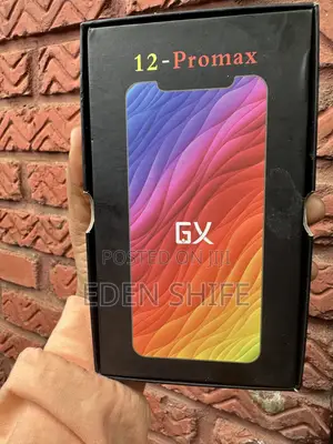 I Phone 12 Pro Max Screen