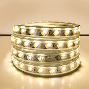 Warm Lead Light