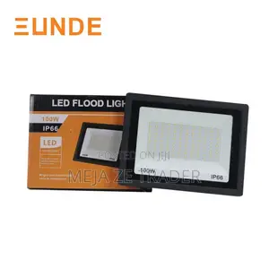 Led Flood Light