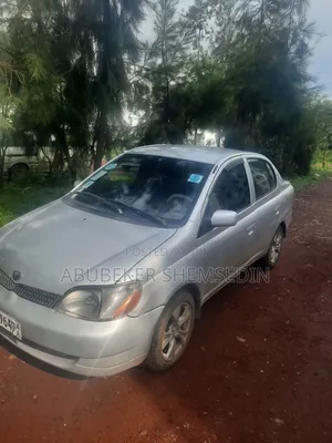 Toyota Platz 2001 Silver