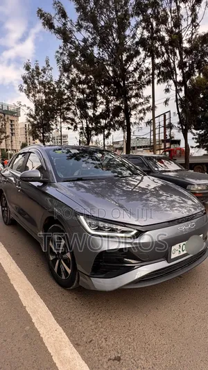 Byd E2 Electric