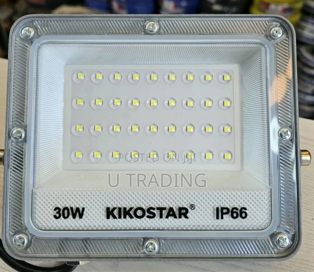 Flood Light